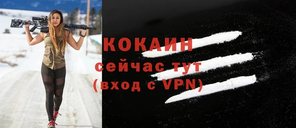 дмт Переславль-Залесский