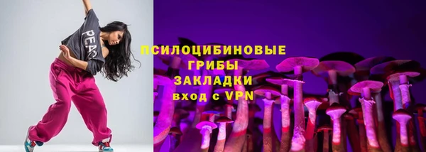 дмт Переславль-Залесский