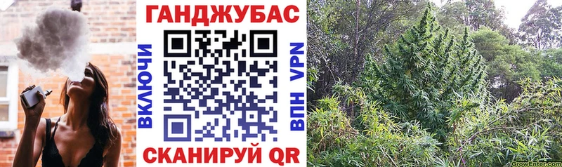 Шишки марихуана гибрид  где найти   blacksprut ONION  Краснозаводск 